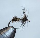 PXL_20230819_080209739.jpg