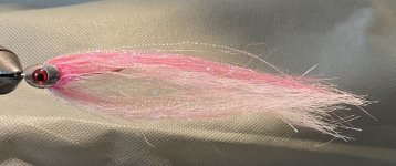 IMG_0145.jpeg