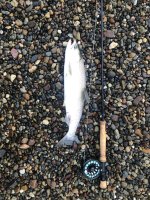 IMG_4352.jpeg IMG_4352.jpeg