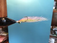IMG_4362.jpeg