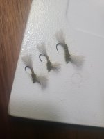 20230821_213821.jpg