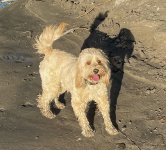 IMG_2723.jpg