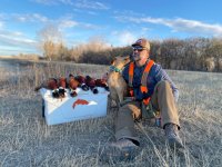 ND pheasant 1.jpeg