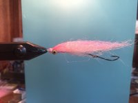 IMG_4367.jpeg IMG_4367.jpeg