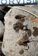 20230823_flies.jpg 20230823_flies.jpg