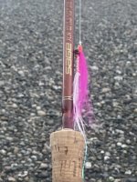 IMG_3303.jpeg