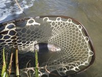 546D0592-6C8C-4D4B-9168-6C11A77800E0.jpeg
