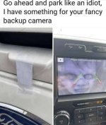 IMG_4503.jpeg