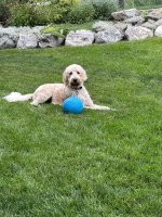 IMG_3397.jpeg