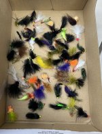 IMG_2299.jpeg IMG_2299.jpeg
