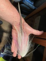 IMG_2373.jpeg