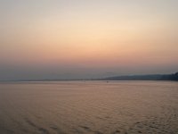 IMG_4517.jpeg IMG_4517.jpeg