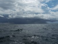 A09LoomingSquallP8220076.jpg