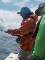 A03AdamFightingFishP8220082.jpg