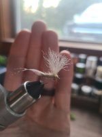 20230826_193807.jpg