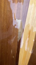 IMG_1395.jpeg