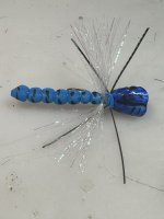 IMG_2063.jpeg