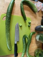 IMG_3775.jpeg