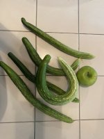 IMG_3818.jpeg