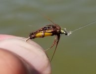 20230827_tellico.jpg