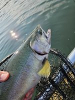 20230827_094429.jpg