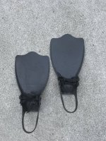 IMG_1437.jpeg