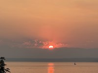 IMG_4536.jpeg