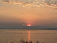 IMG_4537.jpeg