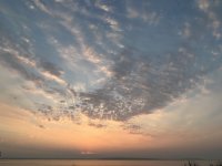 IMG_4541.jpeg