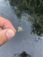 5E9125BD-24E3-4A23-AA06-B927ED183B0C.jpeg