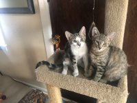 IMG_7099.jpeg