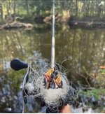 IMG_4544.jpeg