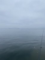 IMG_2141.jpeg