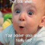 IMG_3349.jpeg