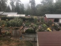 IMG_7251.jpeg