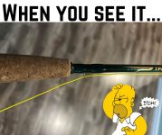 1693318572756.png