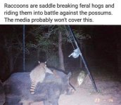 FB_IMG_1693355796527.jpg