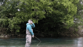 BogusHairyAndeancat-max-1mb.gif
