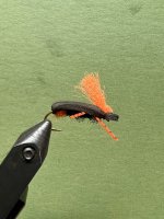 IMG_2217.jpeg