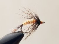 20230830_124654.jpg