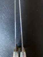 IMG_2061.jpeg