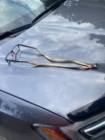 IMG_3323.jpeg