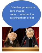 1693504725368.png