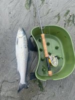 IMG_2155.jpeg