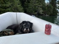 16C36738-3C8D-4D97-A784-69B0D5C31241.jpeg