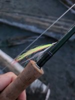 20230901_060611.jpg