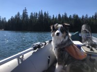 IMG_6953.jpeg