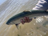 IMG_3166.jpeg