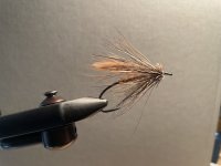 IMG_2385.jpeg