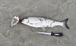 IMG_1628.jpeg